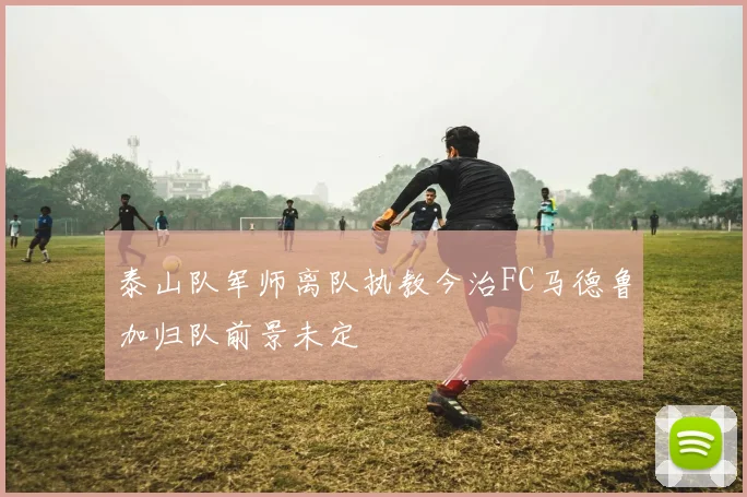 泰山队军师离队执教今治FC马德鲁加归队前景未定