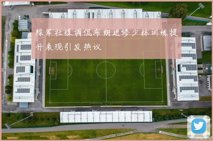 绿军社媒调侃布朗进修少林训练提升表现引发热议